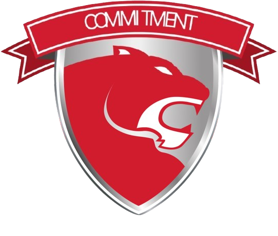 Commitment